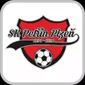 SK Petřín Plzeň
