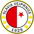 TJ Slavia Vejprnice